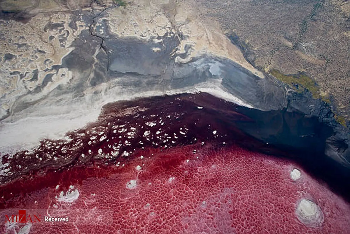 دریاچه «ناترون» مخوف‌ترین منطقه تانزانیا