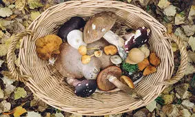 این مواد غدایی را خام نخورید!