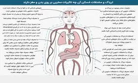 آثار مخرب تریاک و مشتقاتش بر روی بدن انسان