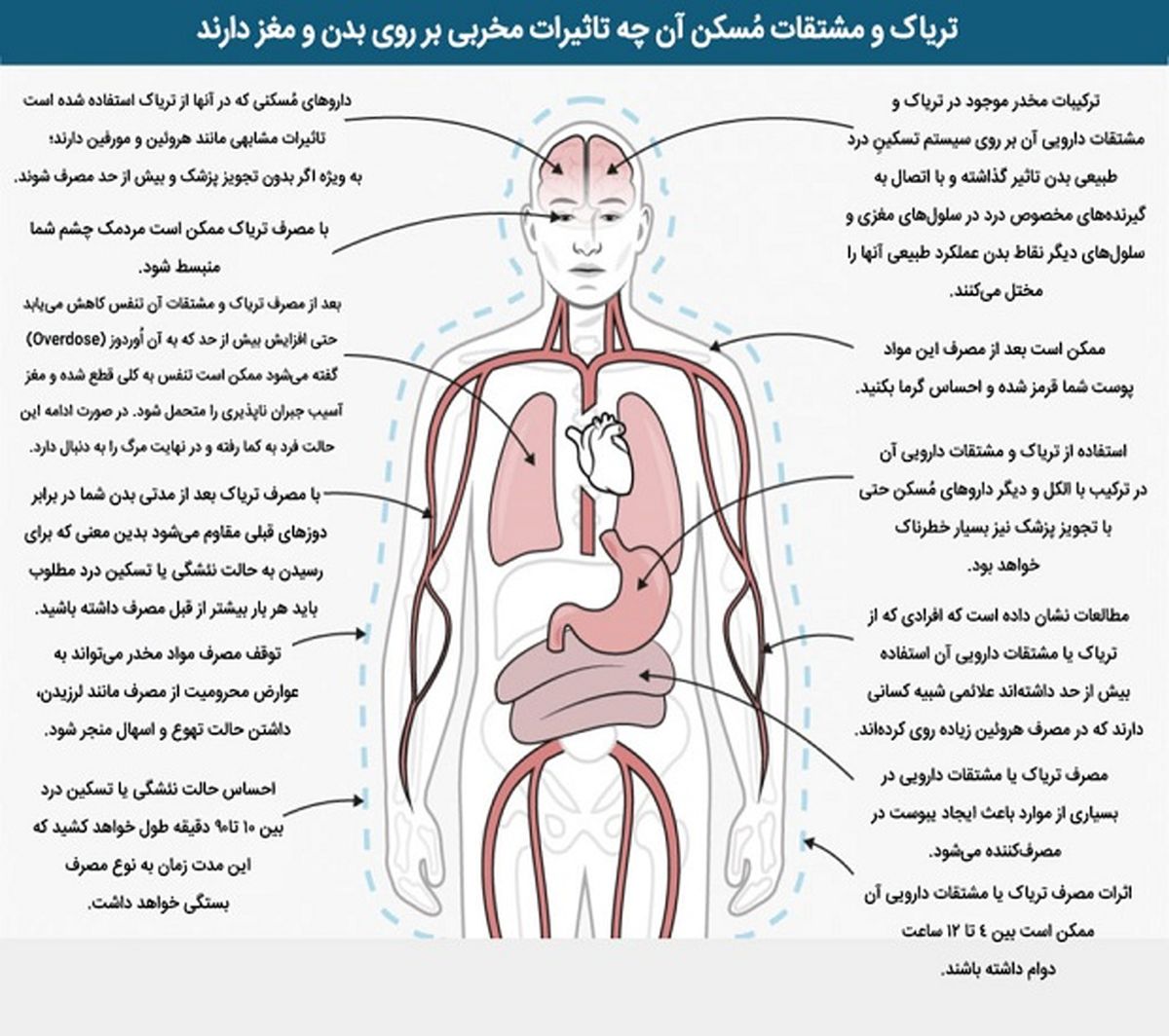 آثار مخرب تریاک و مشتقاتش بر روی بدن انسان