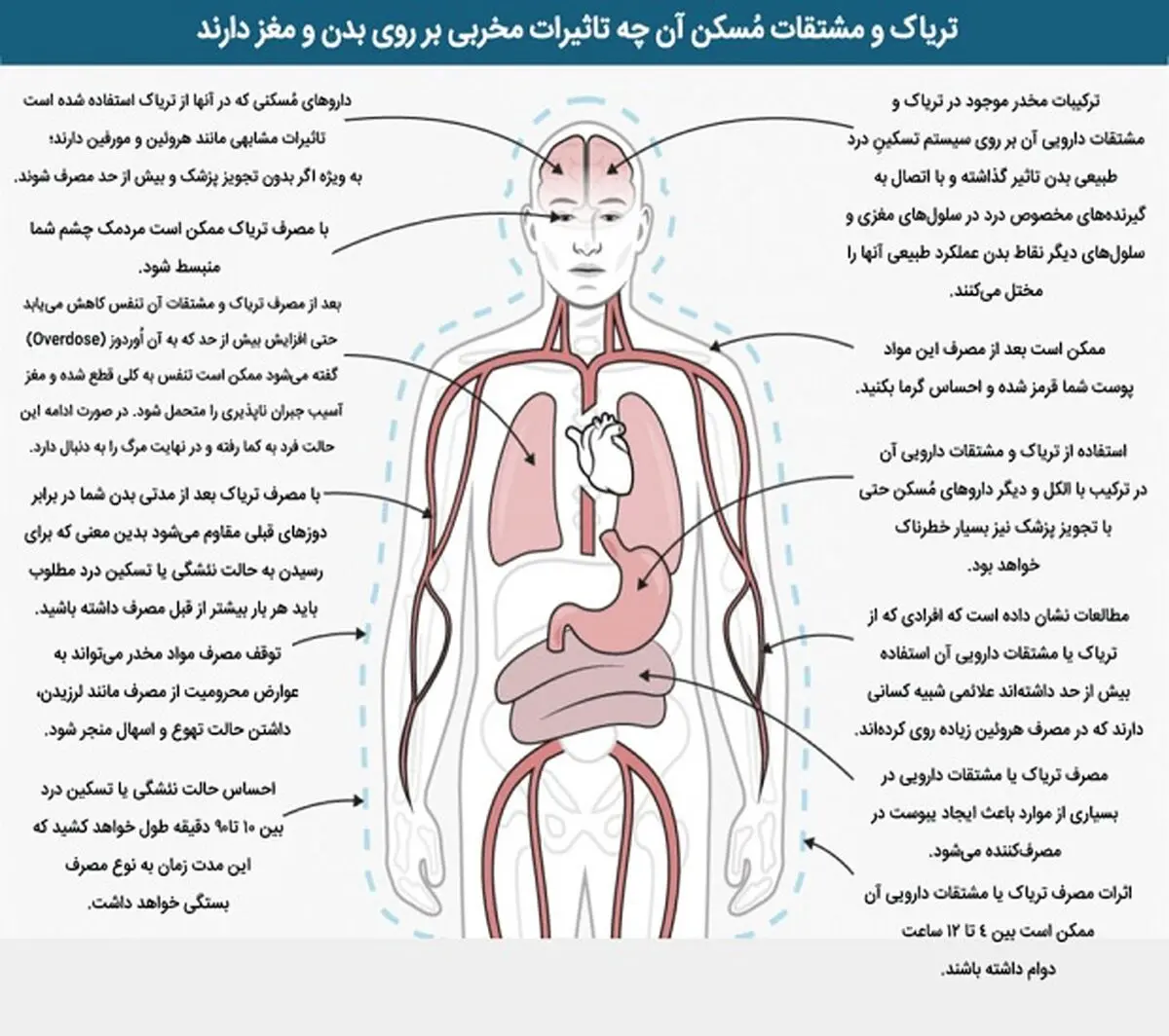 آثار مخرب تریاک و مشتقاتش بر روی بدن انسان