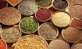 نرخ انواع حبوبات غیر شرکتی در میادین+جدول