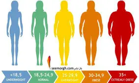 چه شاخص توده بدنی برای زن ها مناسب و نشانه سلامتی است؟