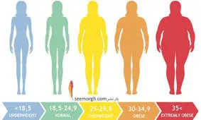 چه شاخص توده بدنی برای زن ها مناسب و نشانه سلامتی است؟