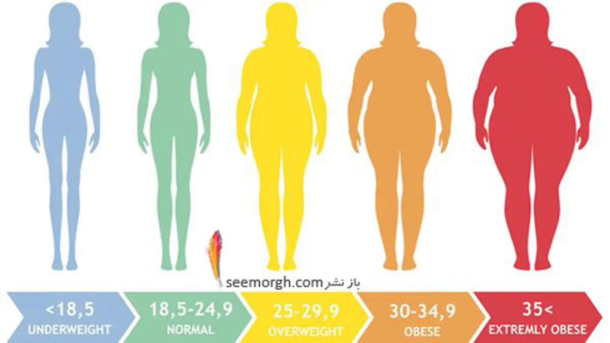 چه شاخص توده بدنی برای زن ها مناسب و نشانه سلامتی است؟