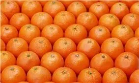 ماجرای نام‌گذاری «رنگ نارنجی» و «پرتقال»