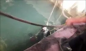 استخر آب کشاورزی جان 2 نفر را در سمیرم گرفت