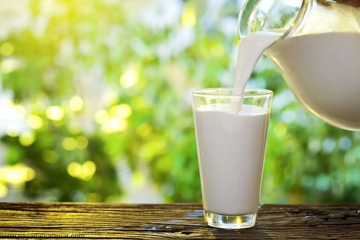 قیمت انواع شیر پرچرب در بازار +جدول 