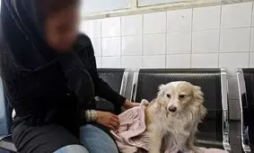 انتقاد از همراه بردن سگ به مدارس توسط دانش‌آموزان/نظارت‌ها ضعیف است