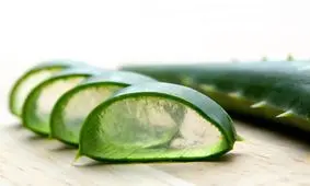 ۷ خاصیت و کاربرد شگفت‌انگیز آلوئه ورا را بشناسید