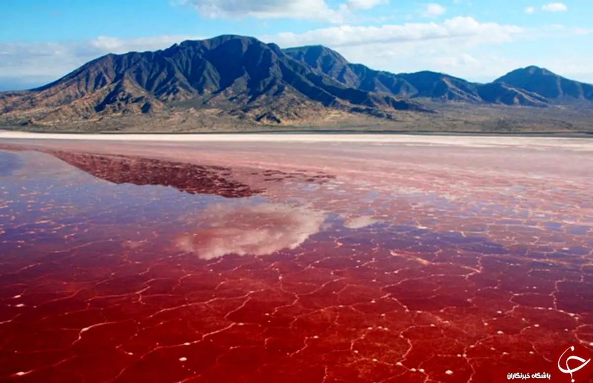 اطلاعاتی حیرت انگیز از جزرومد سرخ