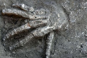 کشف دست‌های بریده غول‌پیکر در مصر!