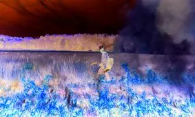 اگر با آتش مواجه شدید چه کار‌هایی باید انجام دهید؟