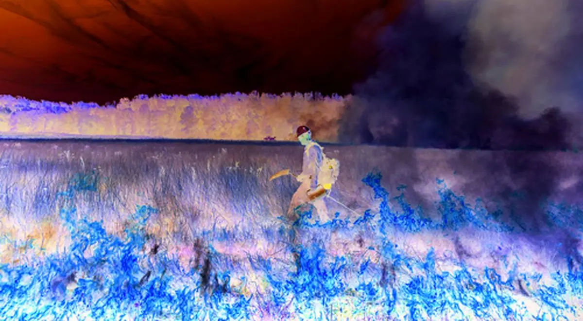 اگر با آتش مواجه شدید چه کار‌هایی باید انجام دهید؟