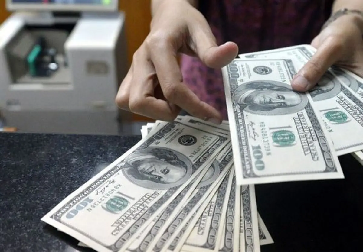 حباب بازار دلار در حال شکسته شدن است/ دولت و نهادهای نظارتی هرچه سریع‌تر وارد عمل شوند/ نباید اجازه دهیم دلالان دوباره وارد عمل شوند/ رسیدن به ثبات اقتصادی کار پیچیده‎ای نیست