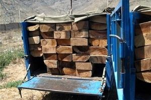 چوب آلات قاچاق در عباس آباد کشف شد
