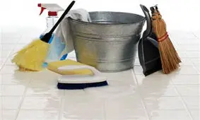 پرونده ای برای یک بشور و بساب حرفه ای