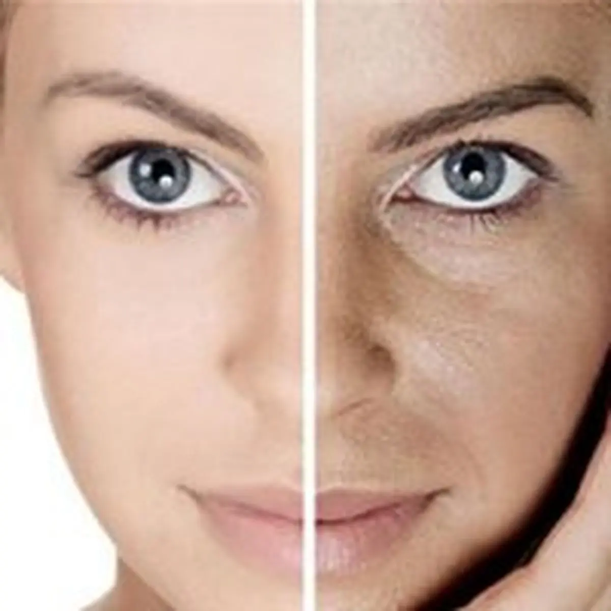 درمان بیماریهای پوستی با استفاده از گیاهان دارویی