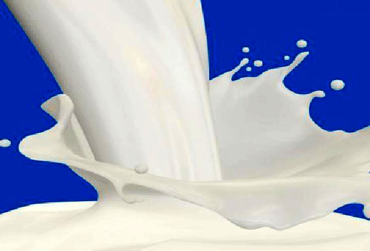 نرخ جدید شیرخام و لبنیات ابلاغ شد/افزایش ۱۹ درصدی قیمت شیرخام