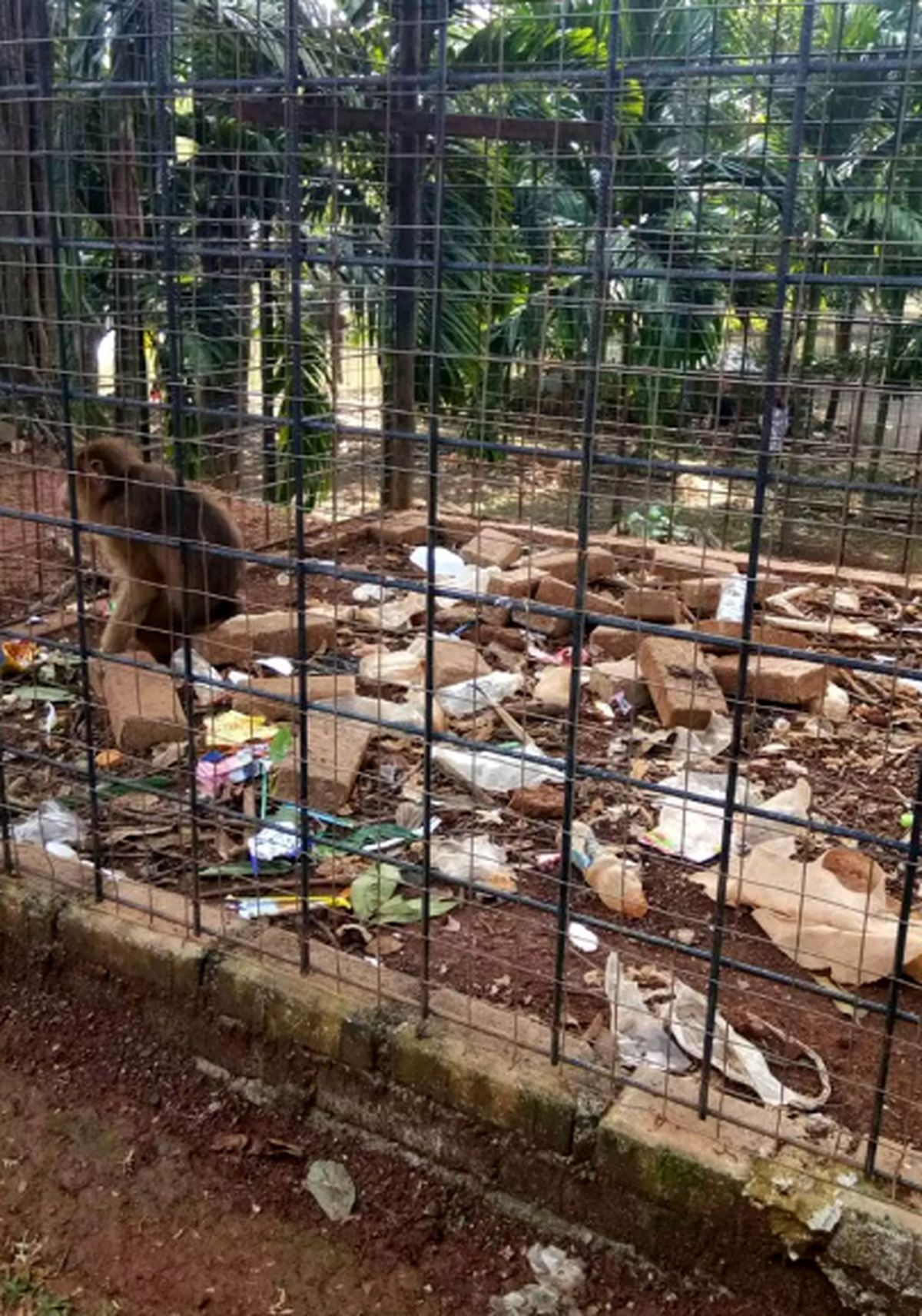 وضعیت اسف‌بار حیوانات در منزجرکننده‌ترین باغ وحش جهان! + تصاویر