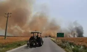 ۱۰۰ هکتار از اراضی کشاورزان آبدانان طعمه حریق شد