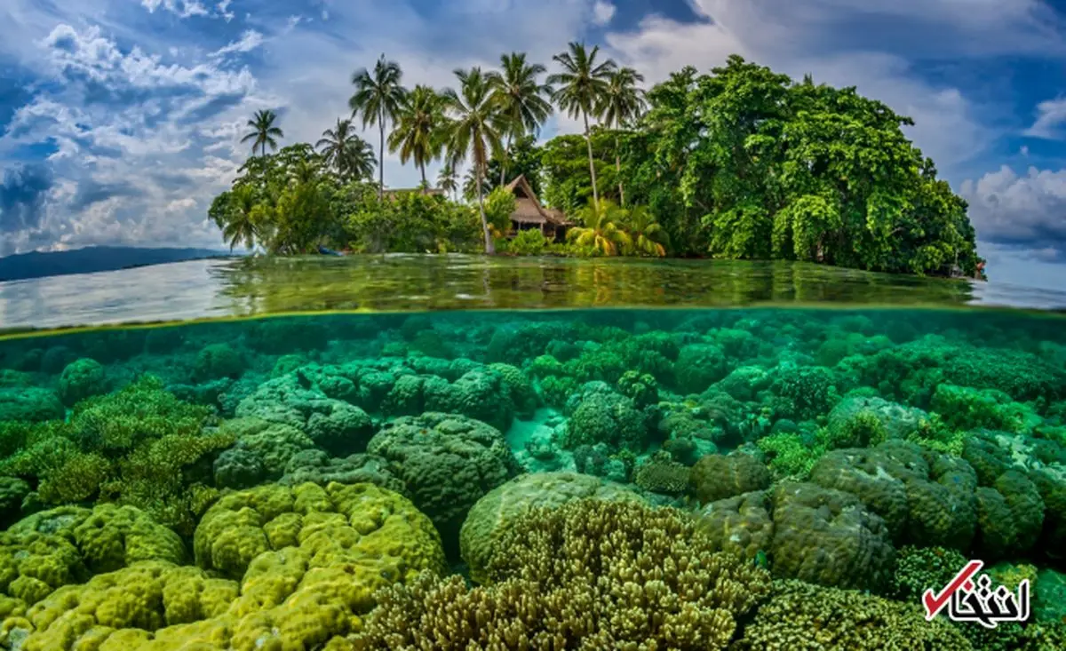 همه چیز درباره جزایر سلیمان / از ژن عجیب مردم تا گنج های مخفی