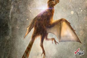کشف گونه جدید دایناسور در چین