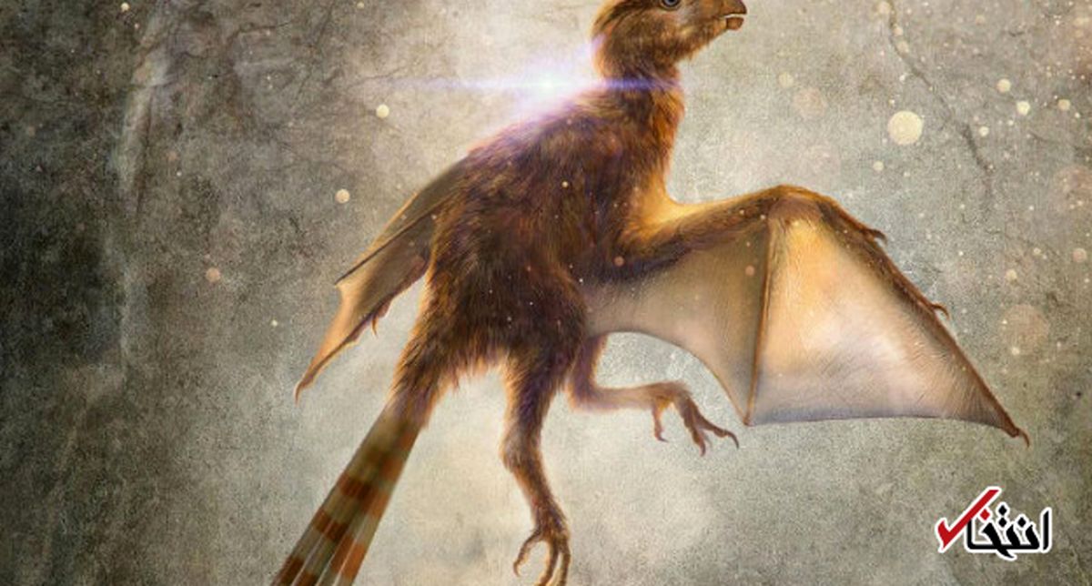 کشف گونه جدید دایناسور در چین