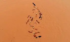 ۶۱ کشته و هزاران بی‌خانمان در سیلاب‌های اخیر چین