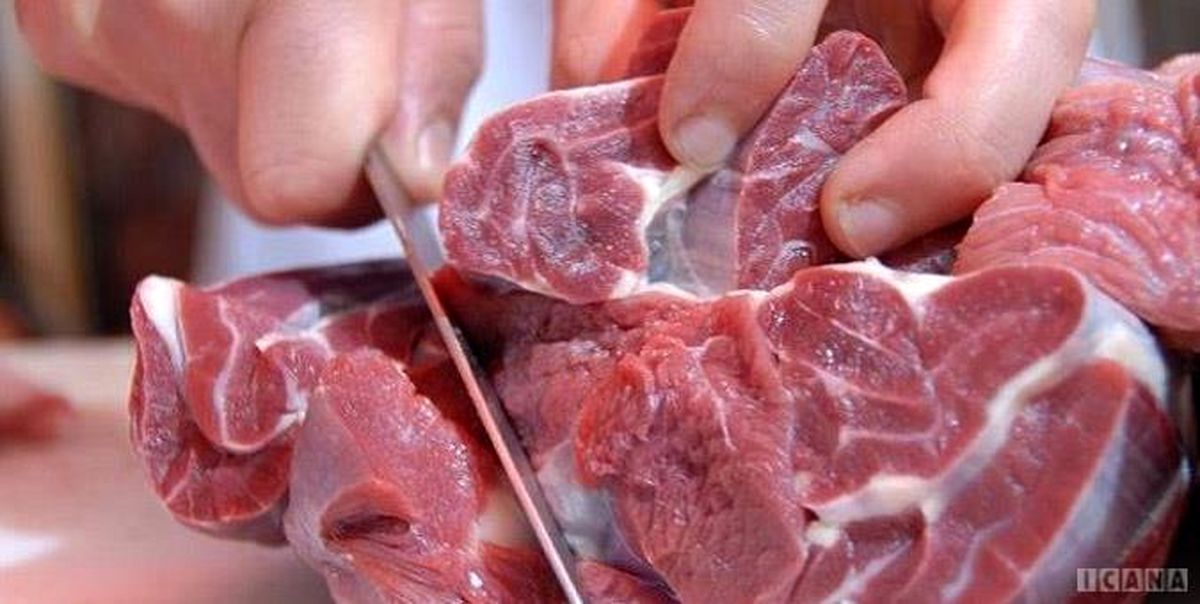 کاهش ۲ هزار تومانی نرخ دام زنده در بازار/ واردات گوشت کماکان سابق در حال انجام است