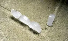 با این روش جای پایه مبلمان را از روی فرش از بین ببرید