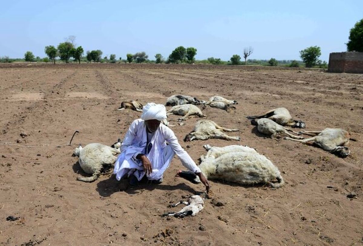تخلیه صدها روستای هند به دلیل خشکسالی‌های شدید