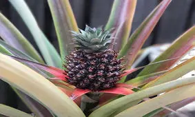 عکس‌هایی که چشمتان را به روی دنیا باز می‌کند