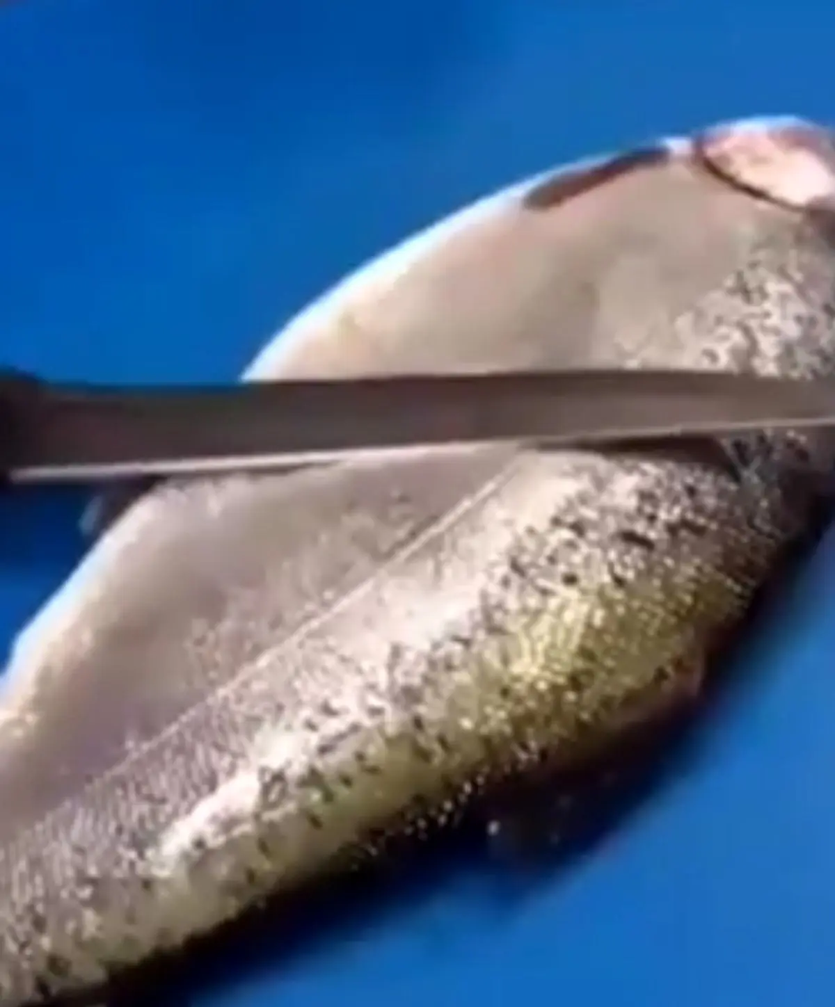 طرز تهیه چنجه ماهی