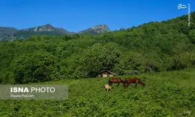 بلندترین آبشار ایران کجاست؟ + تصاویر