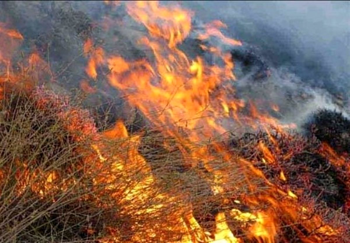 فوران آتش در جنگلها و مراتع کوه دیل و گناوه لری گچساران