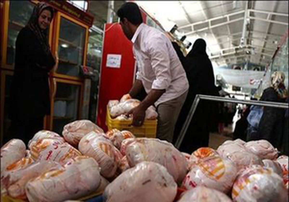 قیمت مرغ در بازار رو به کاهش است/ نرخ هر کیلو مرغ زنده کمتر از ۸ هزار تومان
