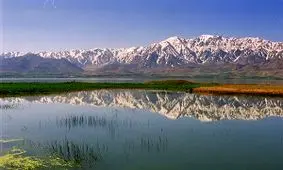 زندگی دوباره یک تالاب با بارش باران + فیلم