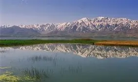 زندگی دوباره یک تالاب با بارش باران + فیلم