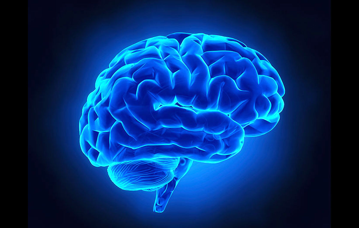 مدت زمان زنده‌ماندن مغز بعد از قطع‌شدن سر/ آیا امکان پیوند سر جدا شده وجود دارد؟