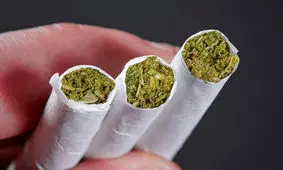 درباره «گل»؛ گیاه مخوفِ دبیرستانی‌ها