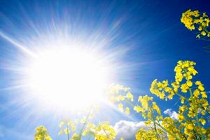 تاثیر نور خورشید بر پیشگیری از ابتلا به دیابت و چاقی