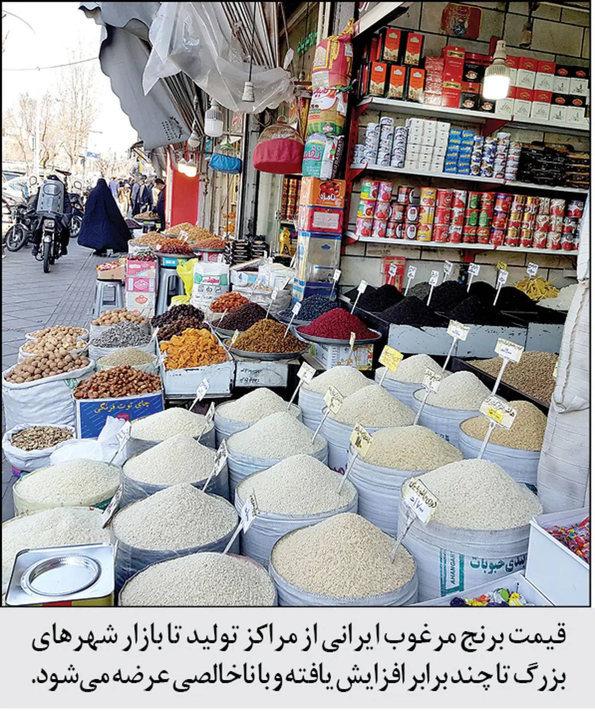 برنج را گران نخرید؛ قیمت‌ها می‌شکند