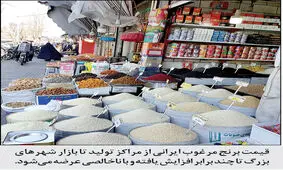 برنج را گران نخرید؛ قیمت‌ها می‌شکند