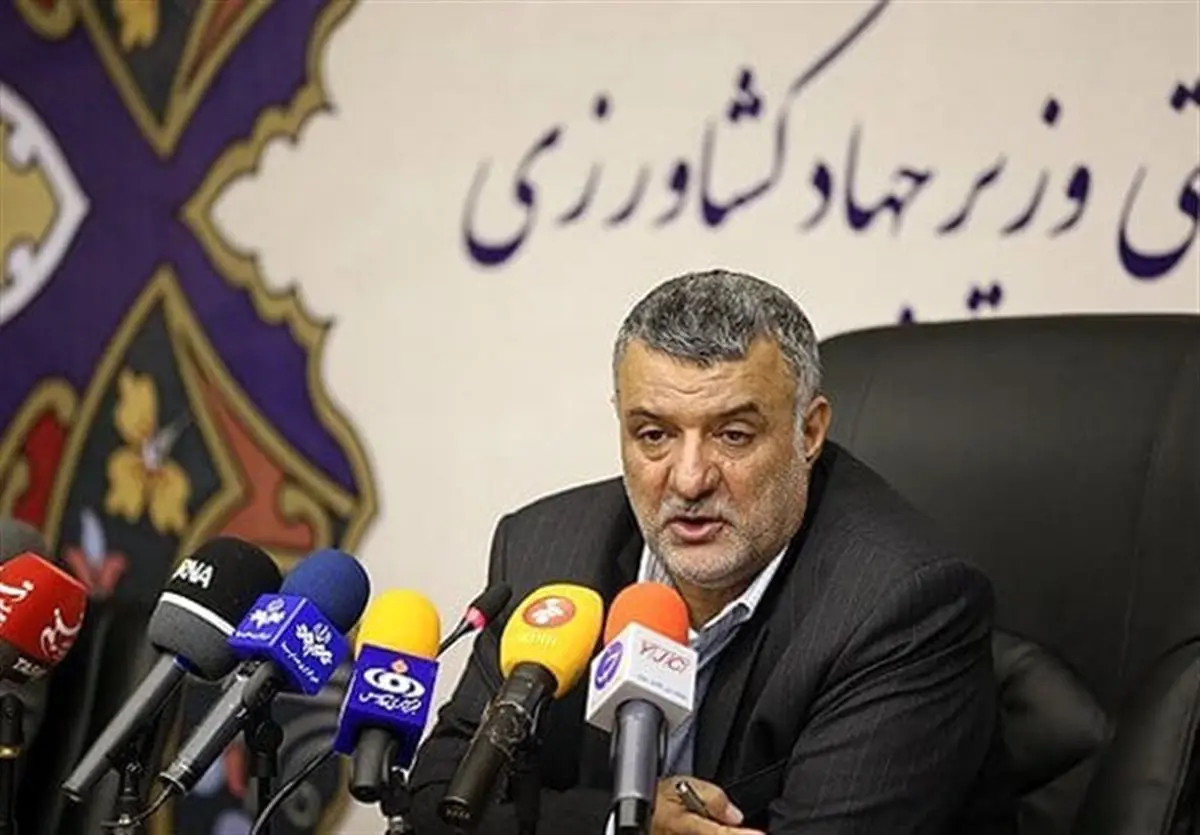 حجتی: قیمت گوشت قرمز در حال کاهش است