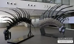 کشف یک دایناسور با سیستم دفاعی عجیب