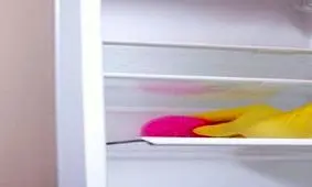 یخچال و فریزرتان را تمیز نگه دارید