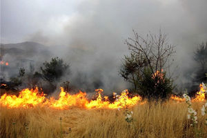 آتش سوزی علف های خشک در زمین کشاورزی/ پیرمرد ۷۵ ساله جان باخت