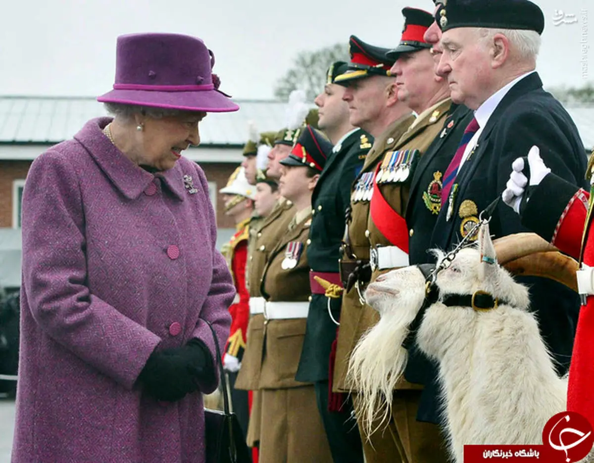 دیدار ملکه انگلیس با بز سلطنتی!+عکس