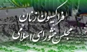 همه نمایندگانی که به وزیر کشور تذکر دادند/ آیا میان نمایندگان زن و رییس فراکسیون زنان اختلافی درمیان است؟